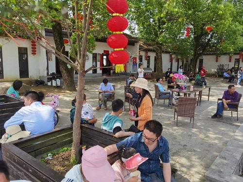 羅田假日旅游 產(chǎn)品豐富，服務(wù)文明有序