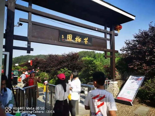 羅田假日旅游 產(chǎn)品豐富，服務(wù)文明有序